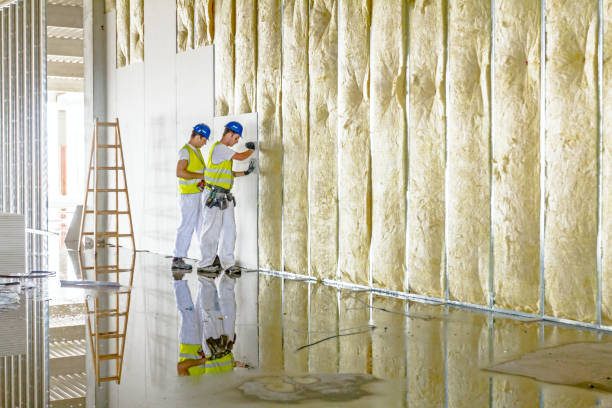Best Insulation Installation Services in Clyde Hill, WA